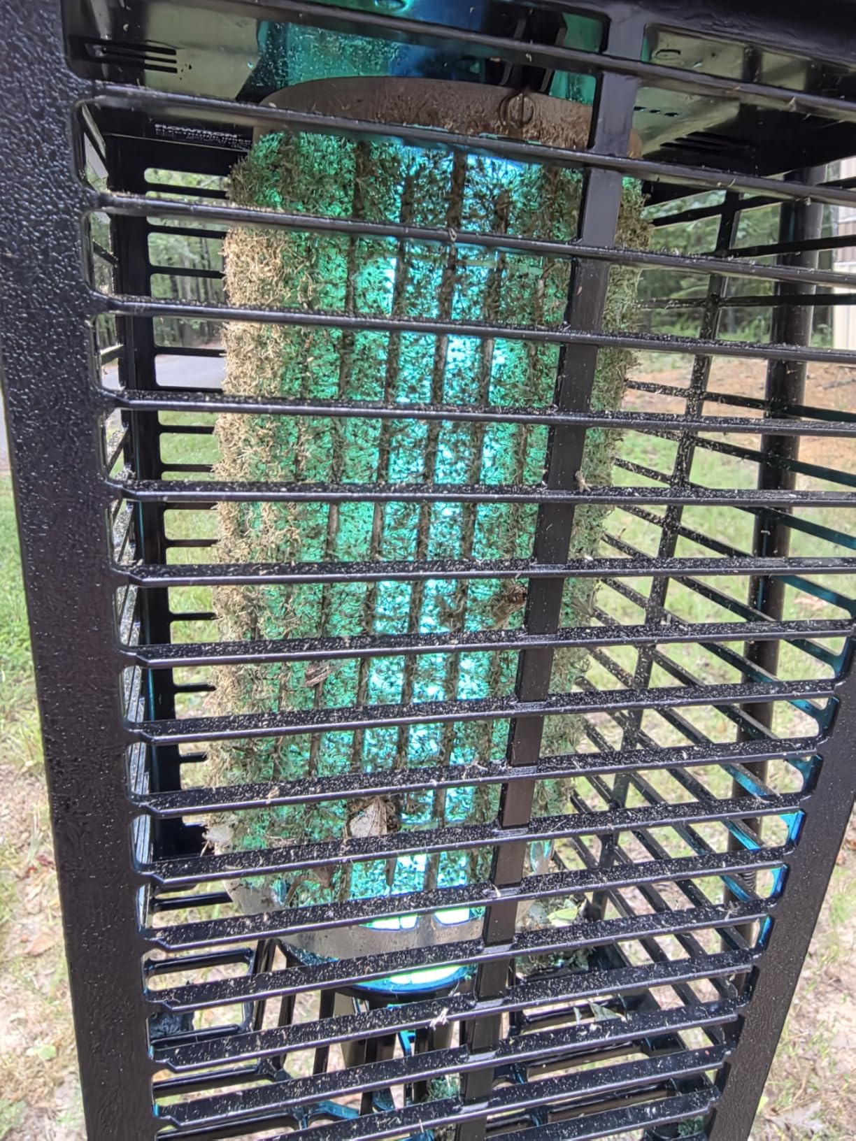 Flowtron Electric Bug Zapper, 1 Acre Outdoor, 40W UV, 5600V Zap, Black customer photo 2