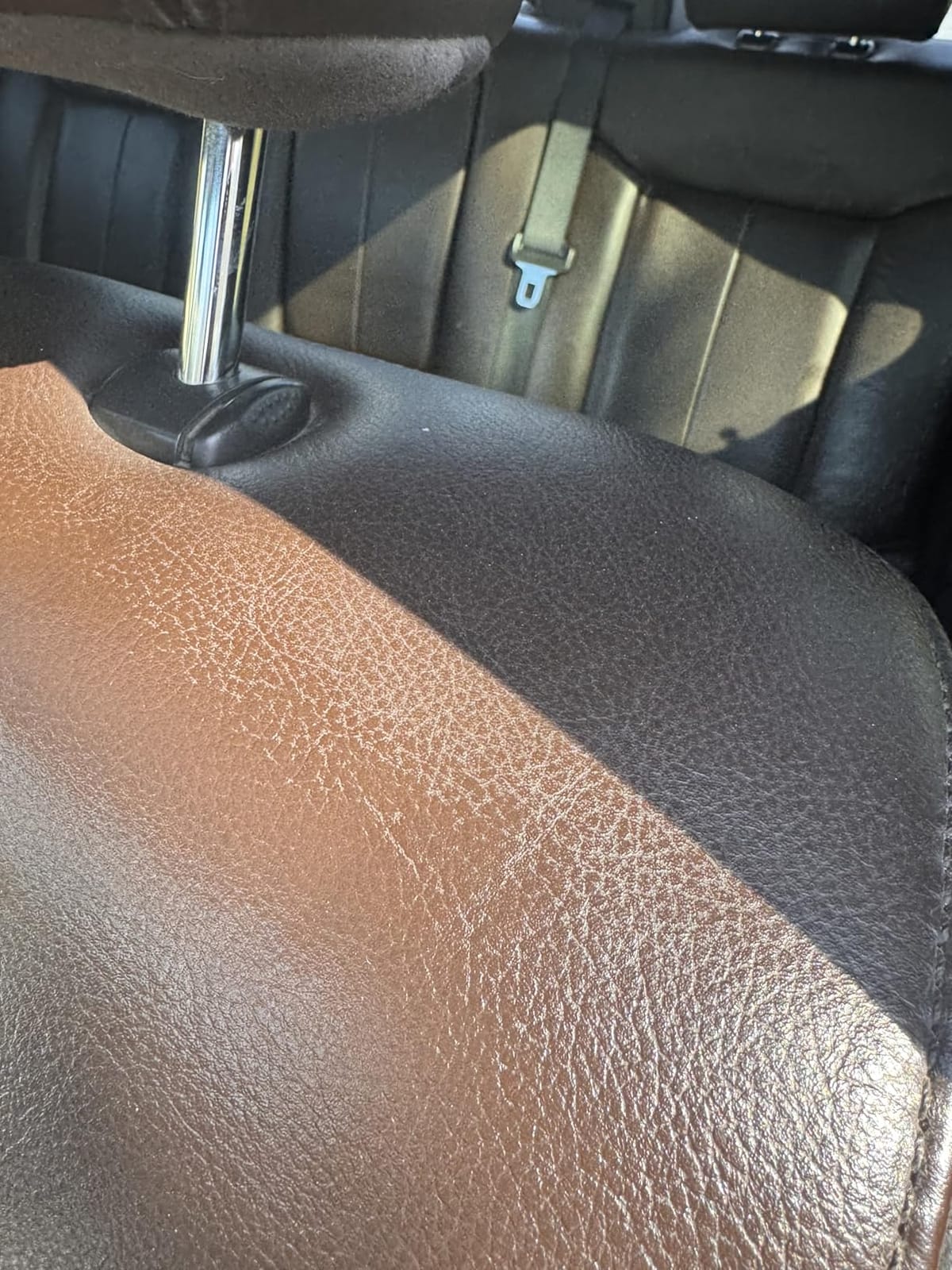 Chemical Guys, Leather Cleaner & Conditioner Kit for Cars & Home, 2 x 16 oz customer photo 2