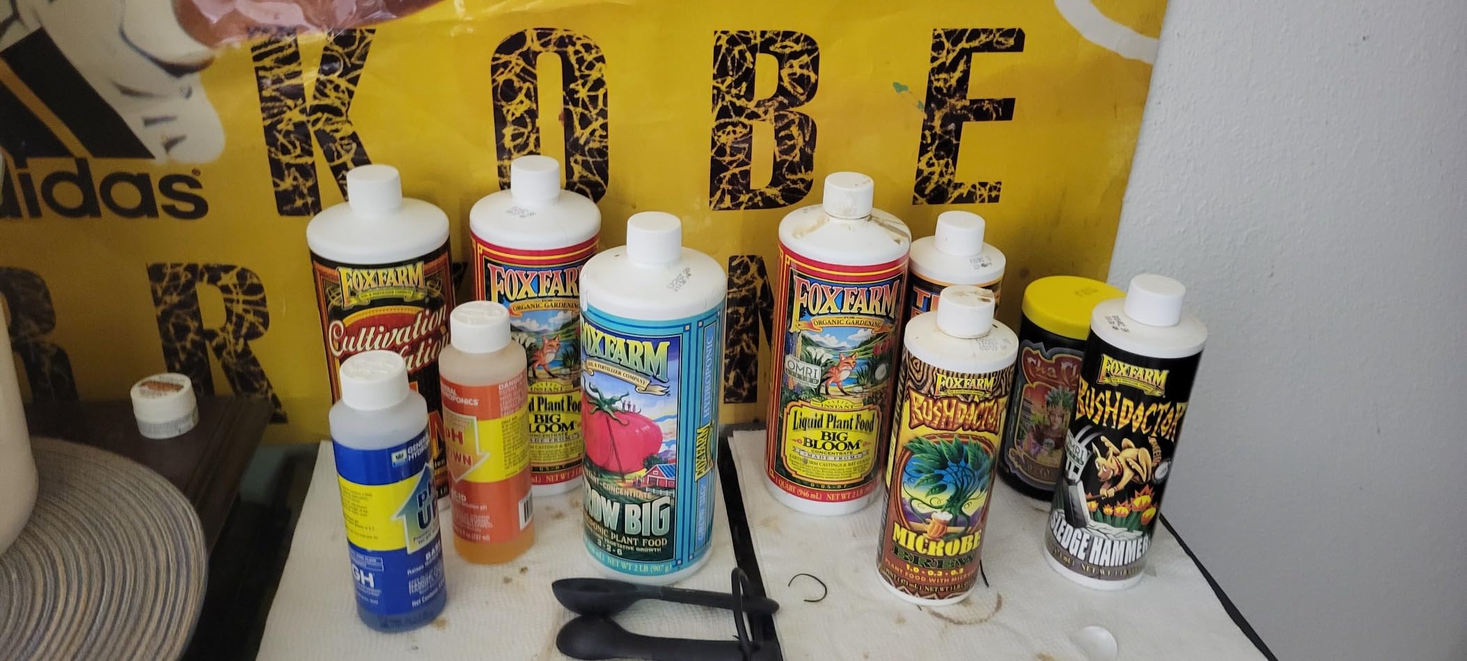 FoxFarm Grow Big Hydroponic Plant Food - 3-2-6 Liquid Plant Fertilizer for Lush Vegetative Growth in Hydroponic Systems - Liquid Concentrate with Earthworm Castings & Micronutrients - 1 Pint customer photo 1