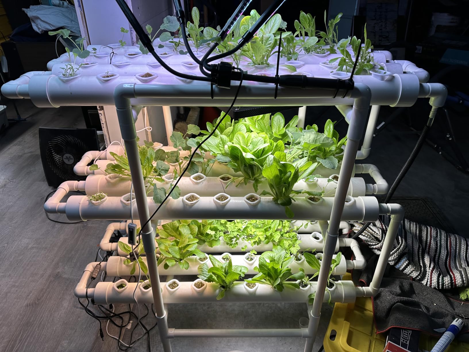 FoxFarm Grow Big Hydroponic Plant Food - 3-2-6 Liquid Plant Fertilizer for Lush Vegetative Growth in Hydroponic Systems - Liquid Concentrate with Earthworm Castings & Micronutrients - 1 Pint customer photo 2
