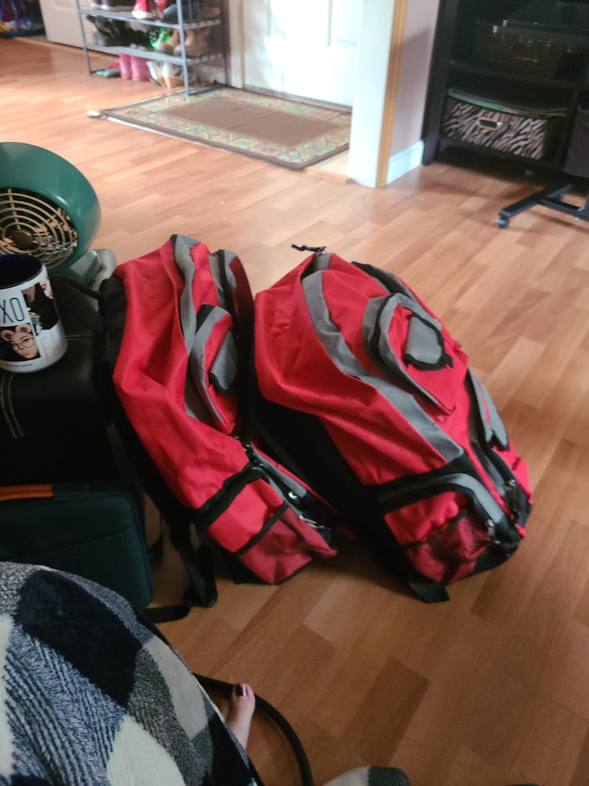 Family Emergency Kit | All-in-one Survival Kit Backpack for Earthquake, Flood, Disaster Relief, Civil Unrest & Outdoor - Survival Bag & Emergency Preparedness Kit for Families customer photo 2