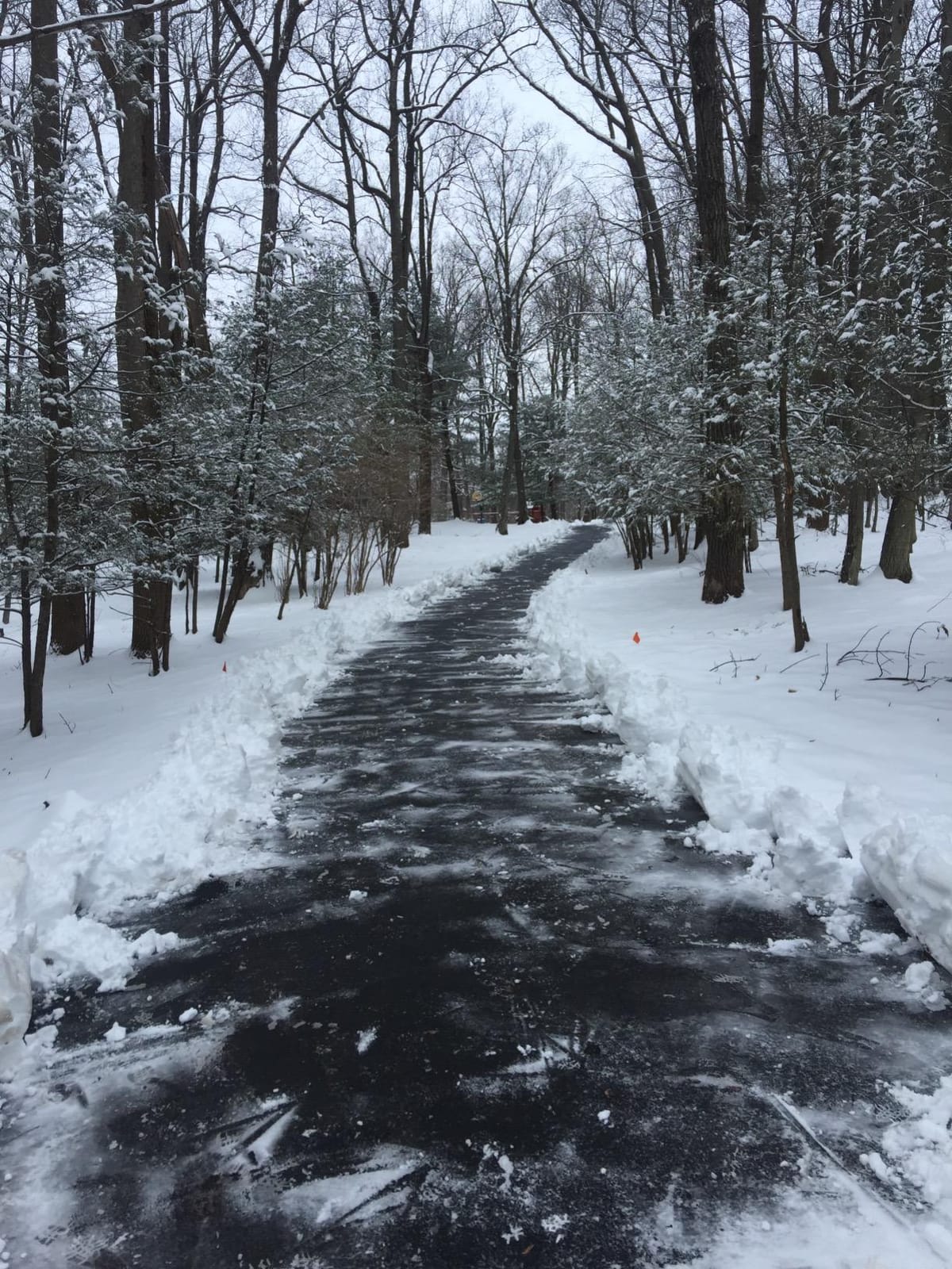 PRO42 PRO Snow Pusher, 42