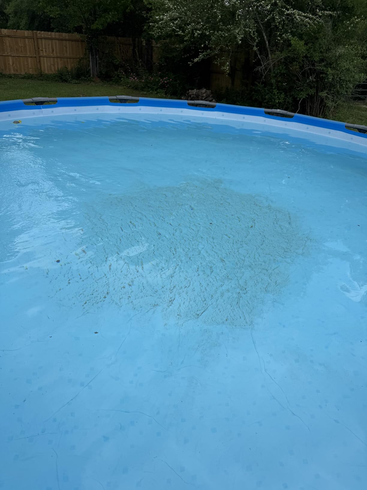 FibroPool Pool Vacuum Head-Weighted Flexible - 14.4 x 10.5 in,Thermoplastic customer photo 2
