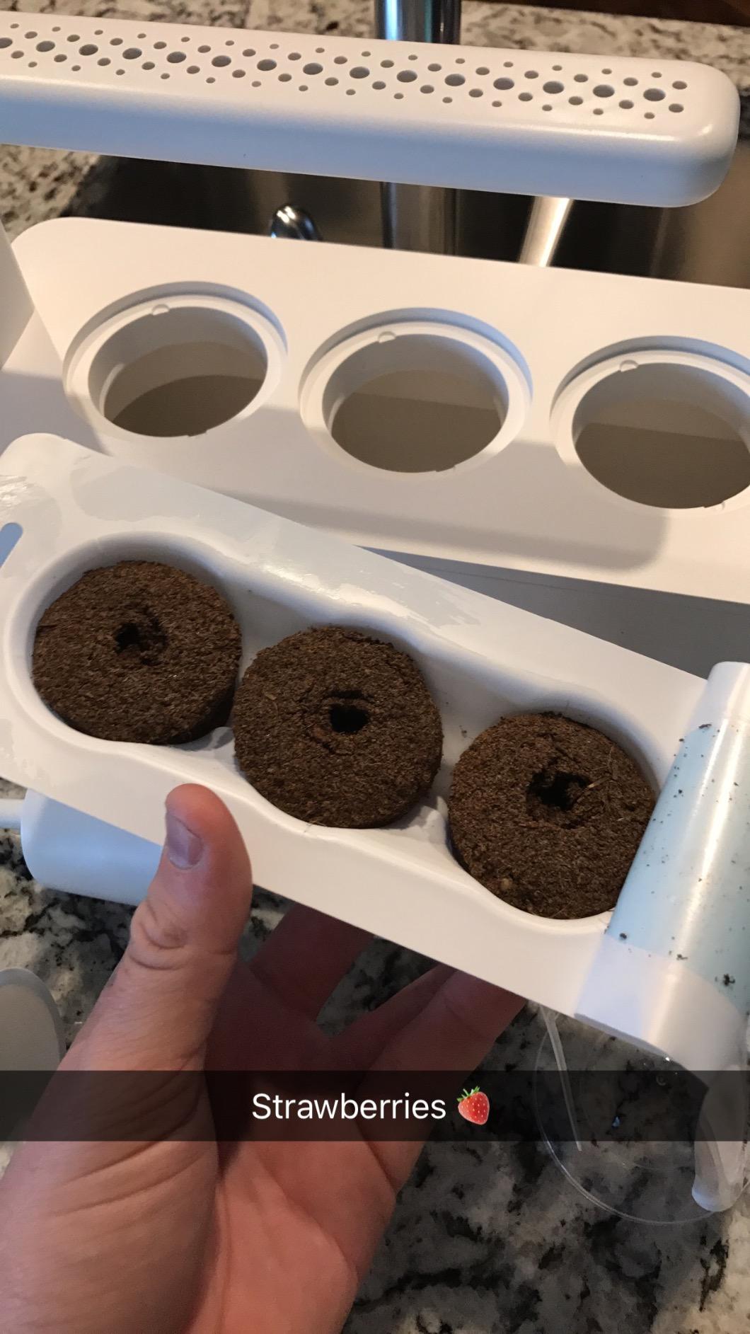 Click & Grow Indoor Herb Garden Kit with Grow Light | Smart Garden for Home Kitchen Windowsill | Easier Than Hydroponics Growing System | Vegetable Gardening Starter (3 Basil Pods Included), White customer photo 1