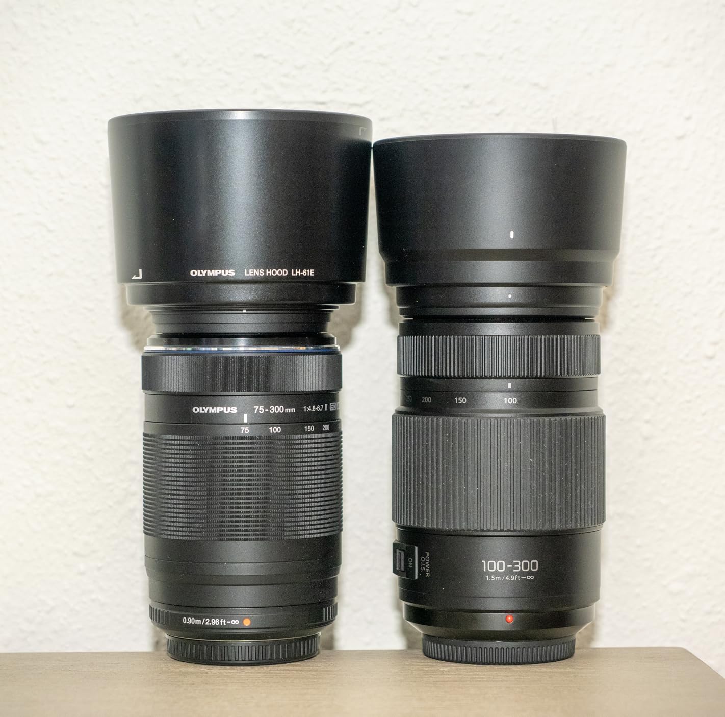 Panasonic LUMIX G II Vario Lens, 100-300MM, MIRRORLESS Micro Four Thirds, Power O.I.S, H-FSA100300 (USA Black) customer photo 1
