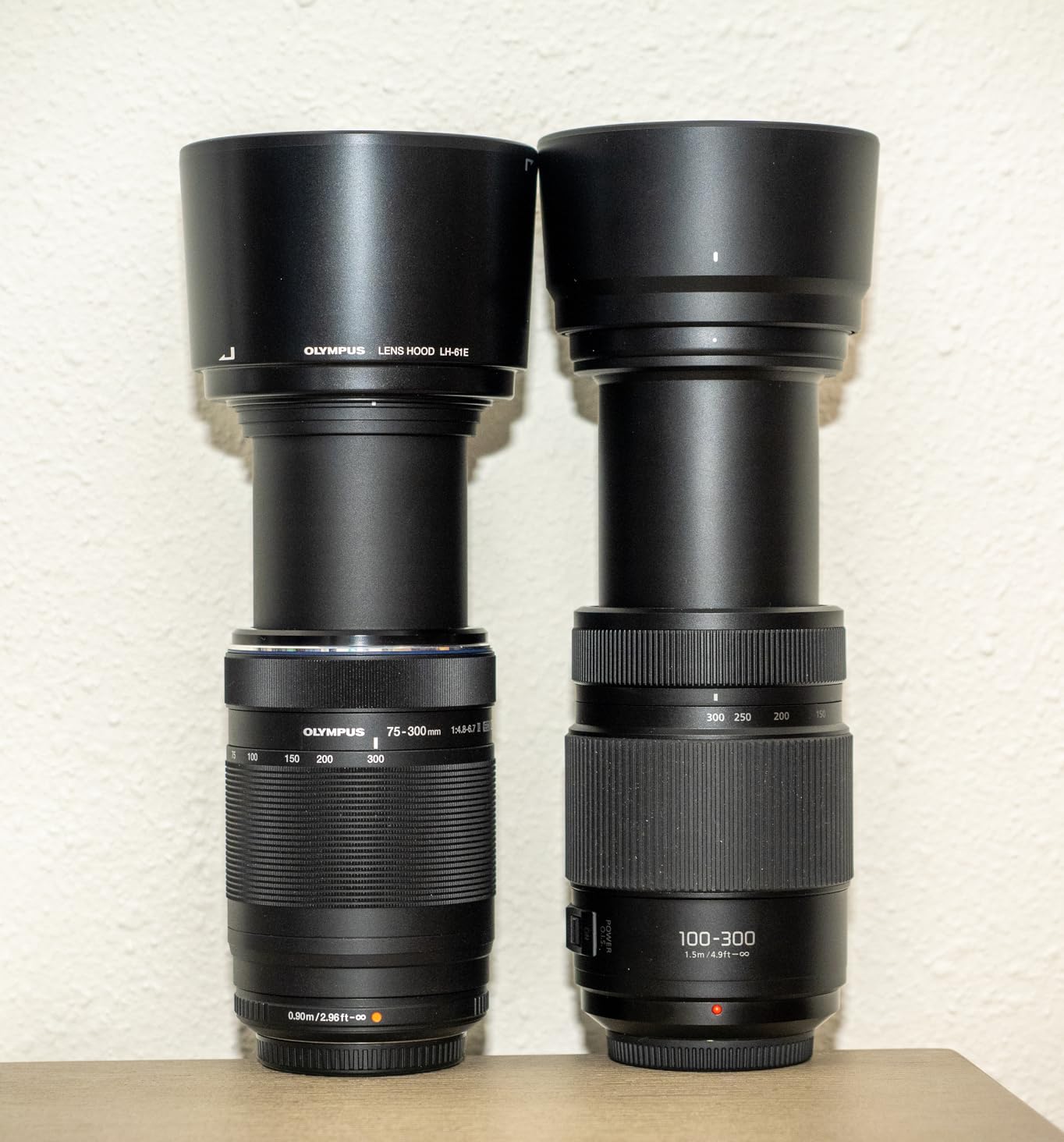 Panasonic LUMIX G II Vario Lens, 100-300MM, MIRRORLESS Micro Four Thirds, Power O.I.S, H-FSA100300 (USA Black) customer photo 2