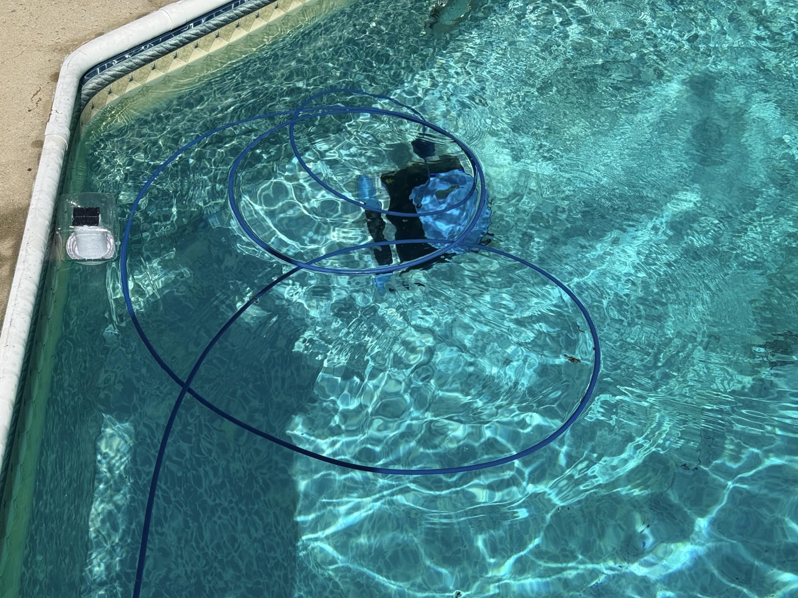 Dolphin Nautilus CC Automatic Robotic Pool Vacuum Cleaner, Wall Climbing Scrubber Brush, Top Load Filter Access, Ideal for Above/In-Ground Pools up to 33 FT in Length customer photo 1