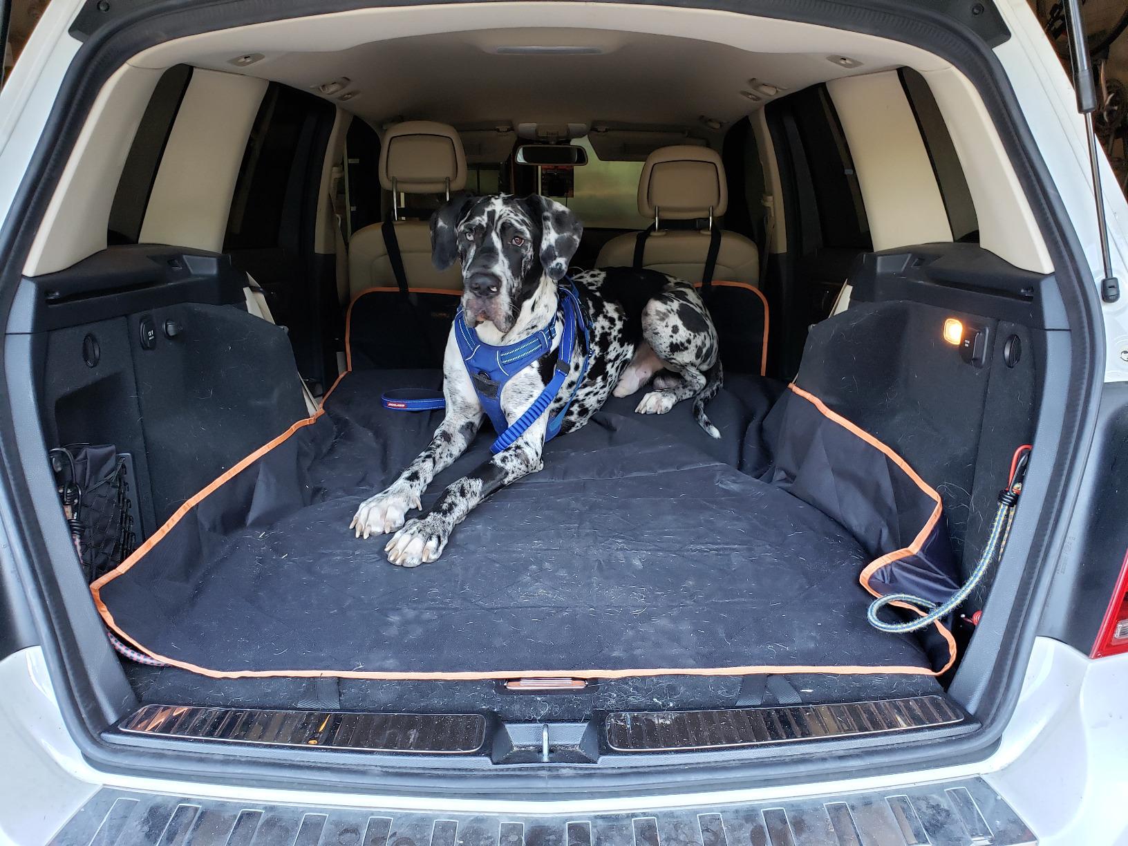 SUV Cargo Liner for Dogs, Waterproof Dog Cargo Cover with Bumper Flap Protection Durable Toyota Rav4 Trunk Mat for Pets Keep Your Vehicle Trunk Clean Universal Fit SUV Car Seat Cover customer photo 2