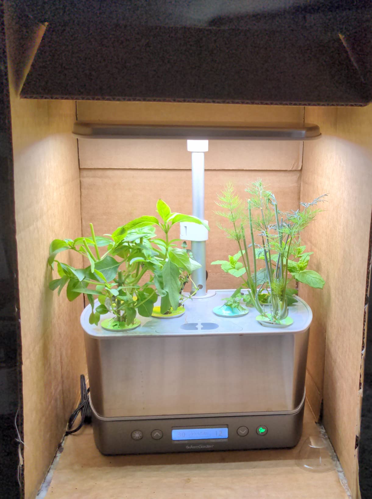 AeroGarden Harvest Elite, Stainless Steel customer photo 2