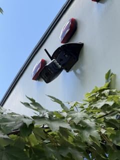 RV Backup Camera Wireless Plug and Play: Pre-Wired for Furrion Easy Install customer photo 2