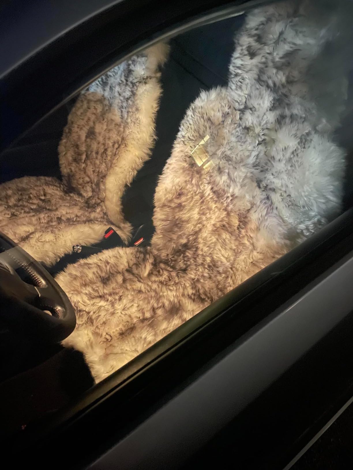 Winter Warm Long Wool Australian Sheepskin Front Car Seat Cover customer photo 2