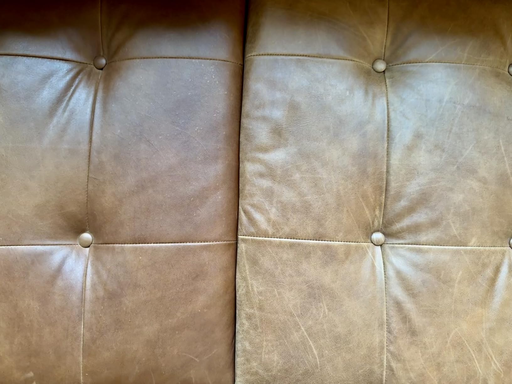 Lexol All Leather Conditioner for Car Seats, Furniture, Jackets, 16.9 Oz customer photo 1