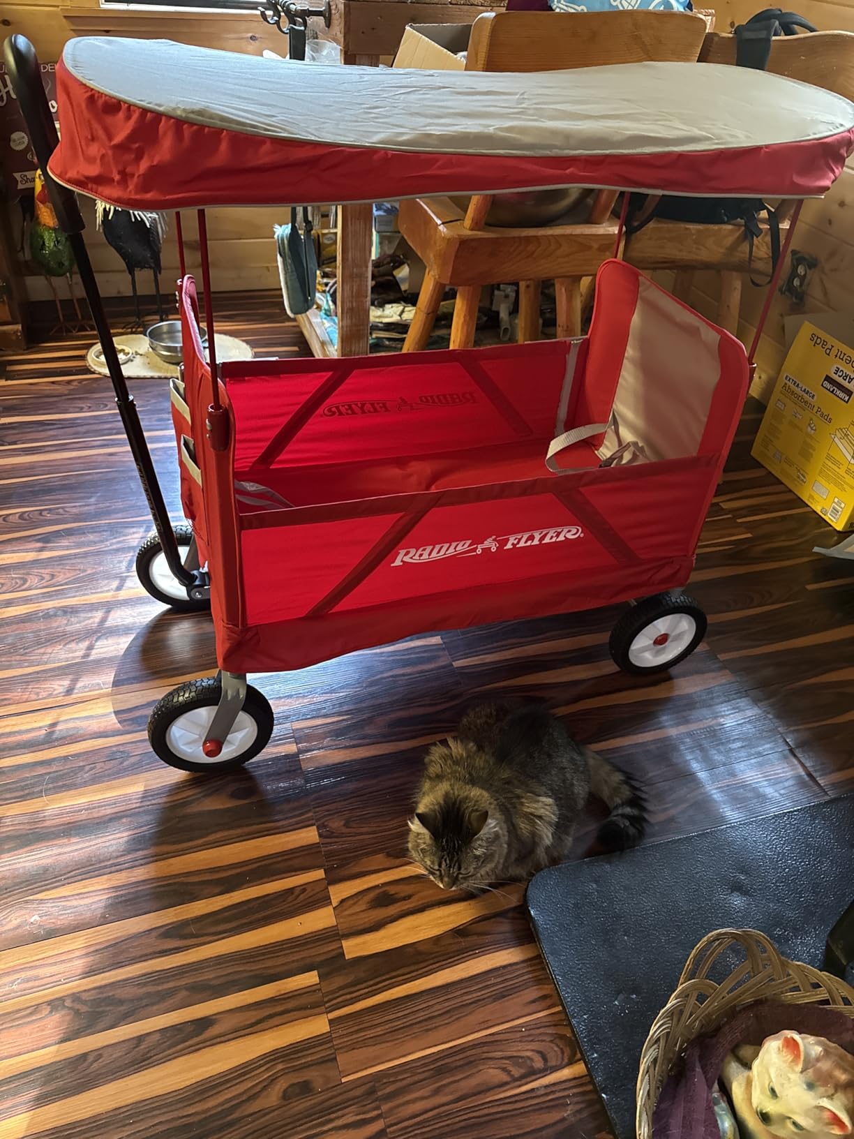 Radio Flyer 3-in-1 Off-Road EZ Fold Wagon with Canopy, for Kids 1.5+, 3-in-1 Push or Pull, with Bench Mode, One Hand Flat Fold, Off-Road Tires, DuraClean Fabric, Seat Belts, Stroller Wagon for Kids customer photo 1