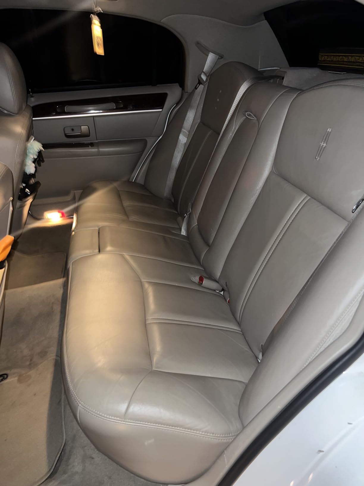 Armor All Car Leather Cleaner Spray with Beeswax, 16 Fl Oz customer photo 1