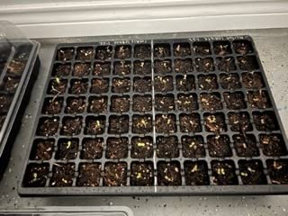 Gardzen 5-Set Seed Starter Tray Kits, Durable Plant Germination Trays with Humidity Vented Domes and Bases, Ideal for Seed Starting, Indoor Gardening, and Greenhouse (Total 200 Cells) customer photo 1