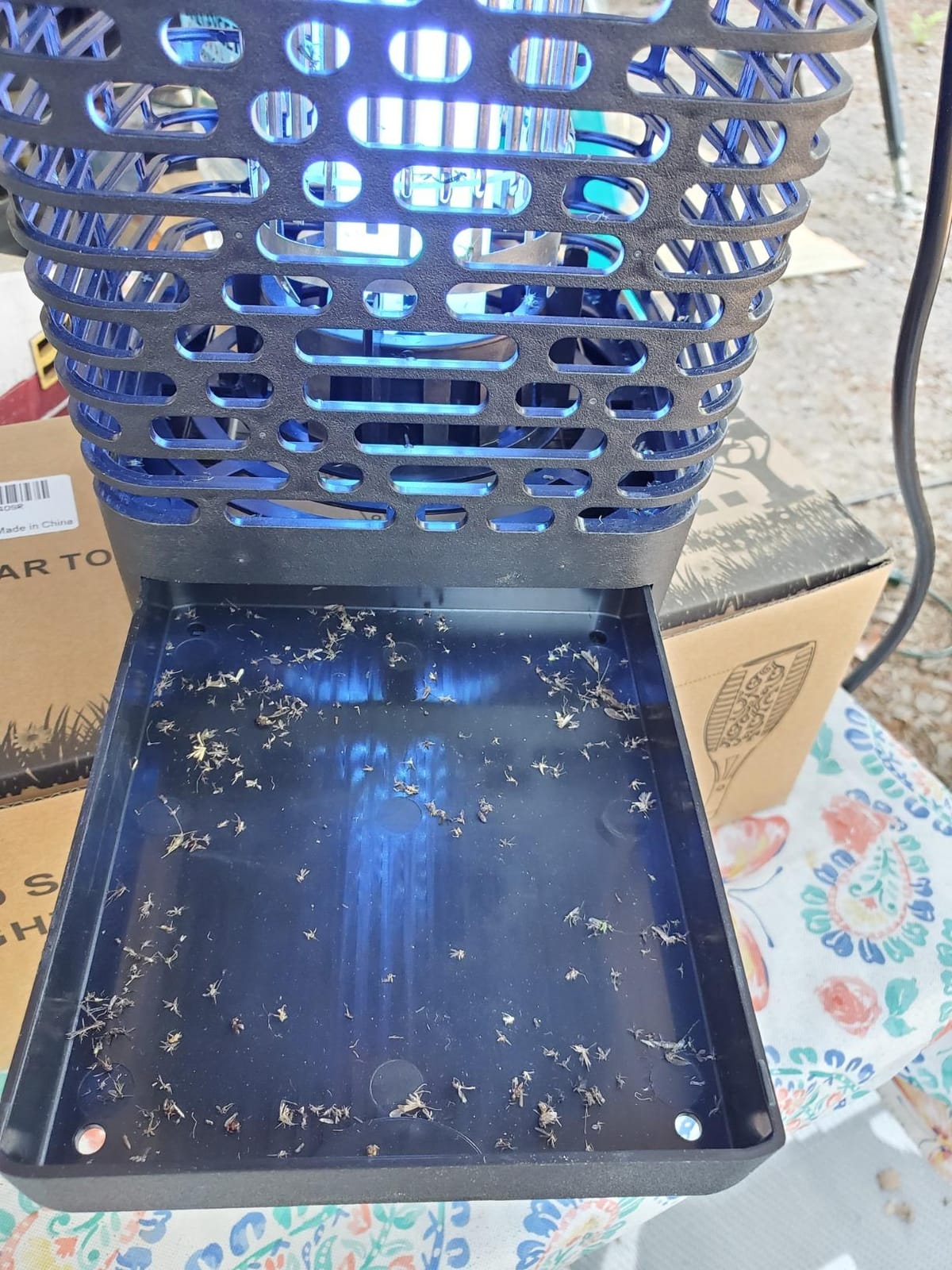 BLACK+DECKER Bug Zapper, Electric UV Insect Catcher & Killer for Flies, Mosquitoes, Gnats & Other Small to Large Flying Pests, 1 Acre Outdoor Coverage for Home, Deck, Garden, Patio, Camping & More customer photo 2