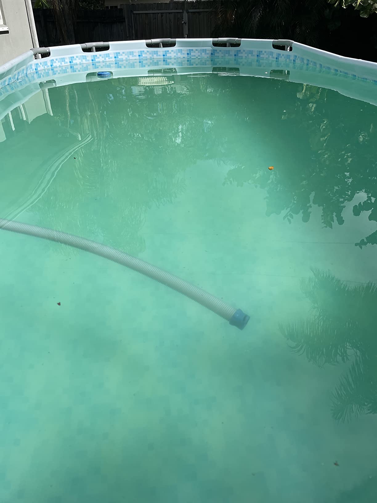 POOLPURE Type A or C/III Pool Filter Replaces Intex 29000E/59900E/#29003E customer photo 1