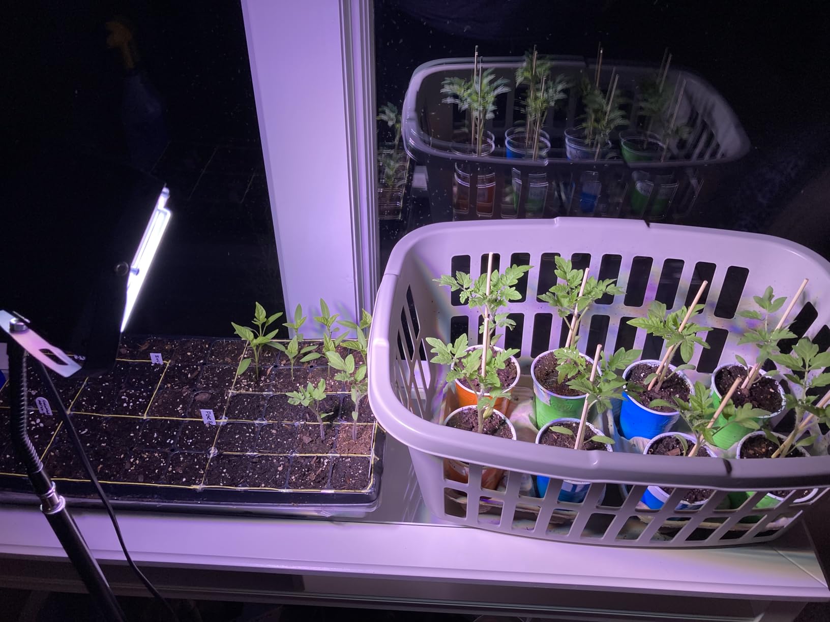 LBW Grow Light with Stand, Full Spectrum Grow Lights for Indoor Plants customer photo 2