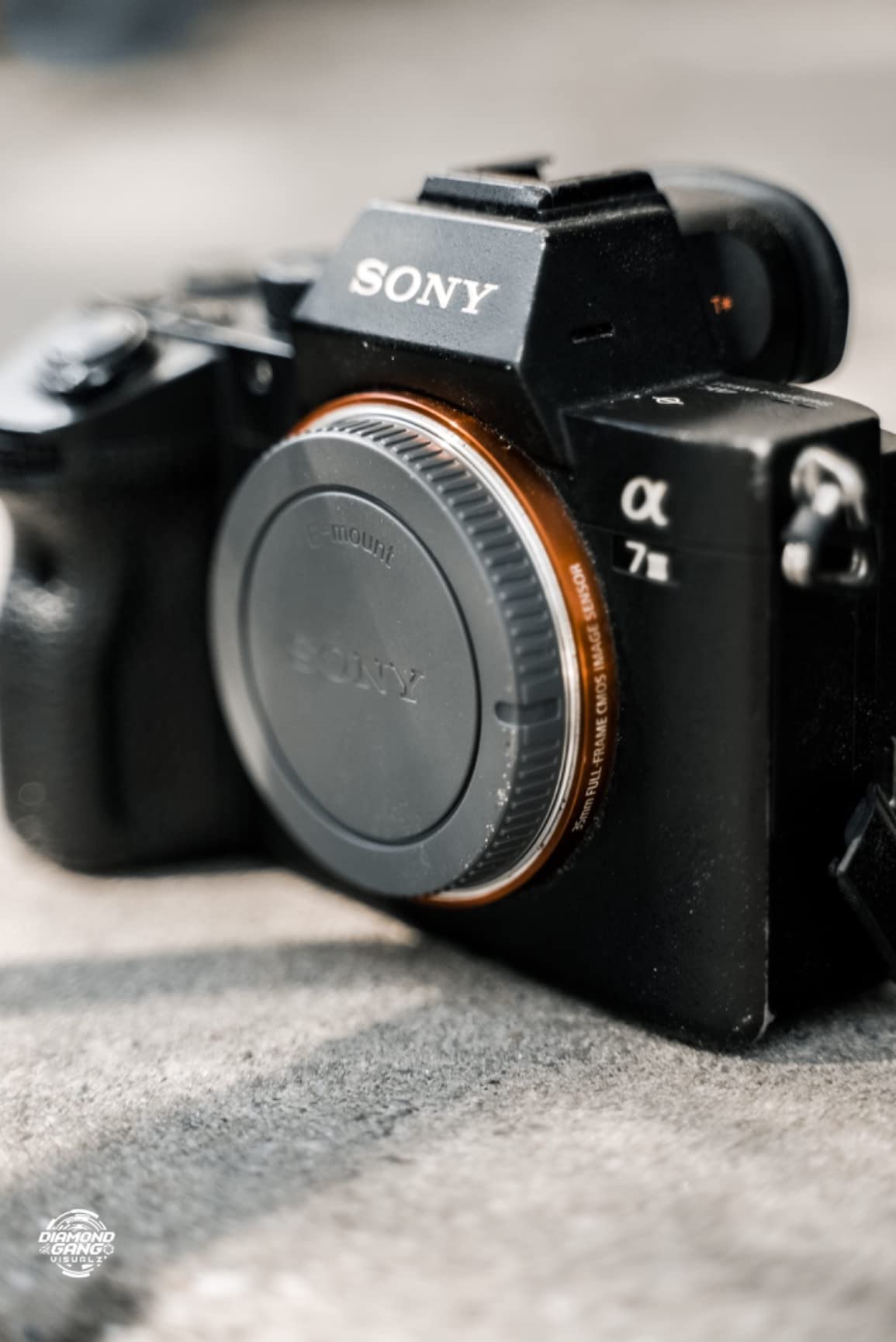 Sony Alpha a7S III Full-Frame Mirrorless Camera Body Black customer photo 1