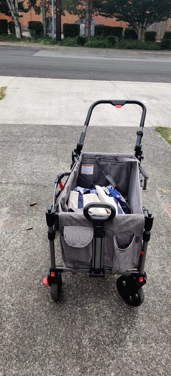 EVER ADVANCED Foldable Wagons for Two Kids & Cargo, Collapsible Folding Stroller with Adjustable Handle Bar,Removable Canopy with 5-Point Harness Gray customer photo 1