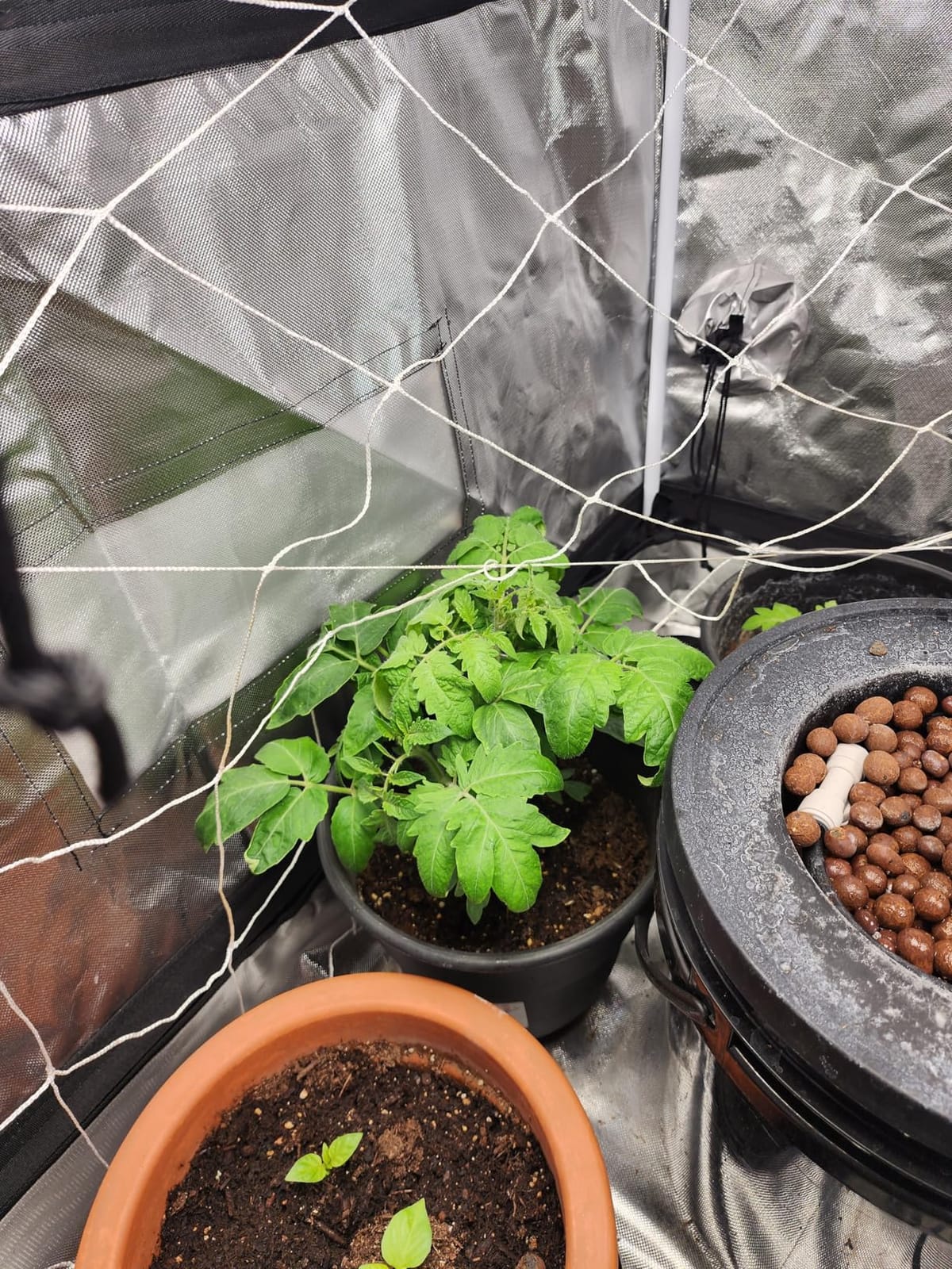 VIVOSUN DWC Hydroponics Grow System with Top Drip Kit 4 Buckets customer photo 2