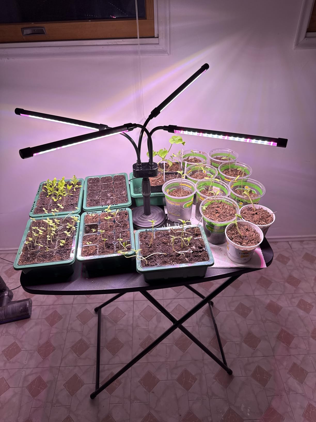 SYEIORAOM Grow Lights for Indoor Plants, Four Head LED Grow Light with Full Spectrum, Red White Spectrum for Indoor Plant Lamp, Adjustable Gooseneck, Suitable for Vegetation customer photo 2