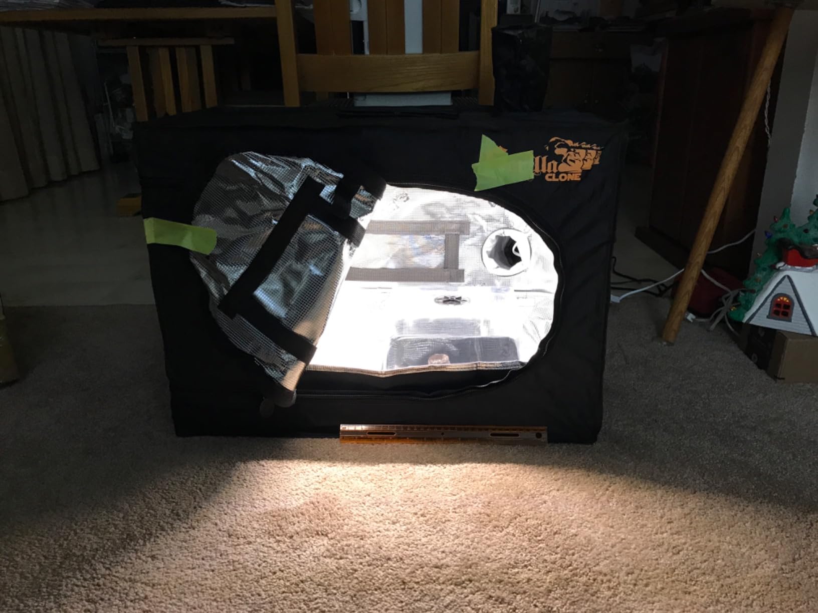 T5 Grow Lights for Seed Starting, 10W x2, Grow Lights for Indoor Plants customer photo 1