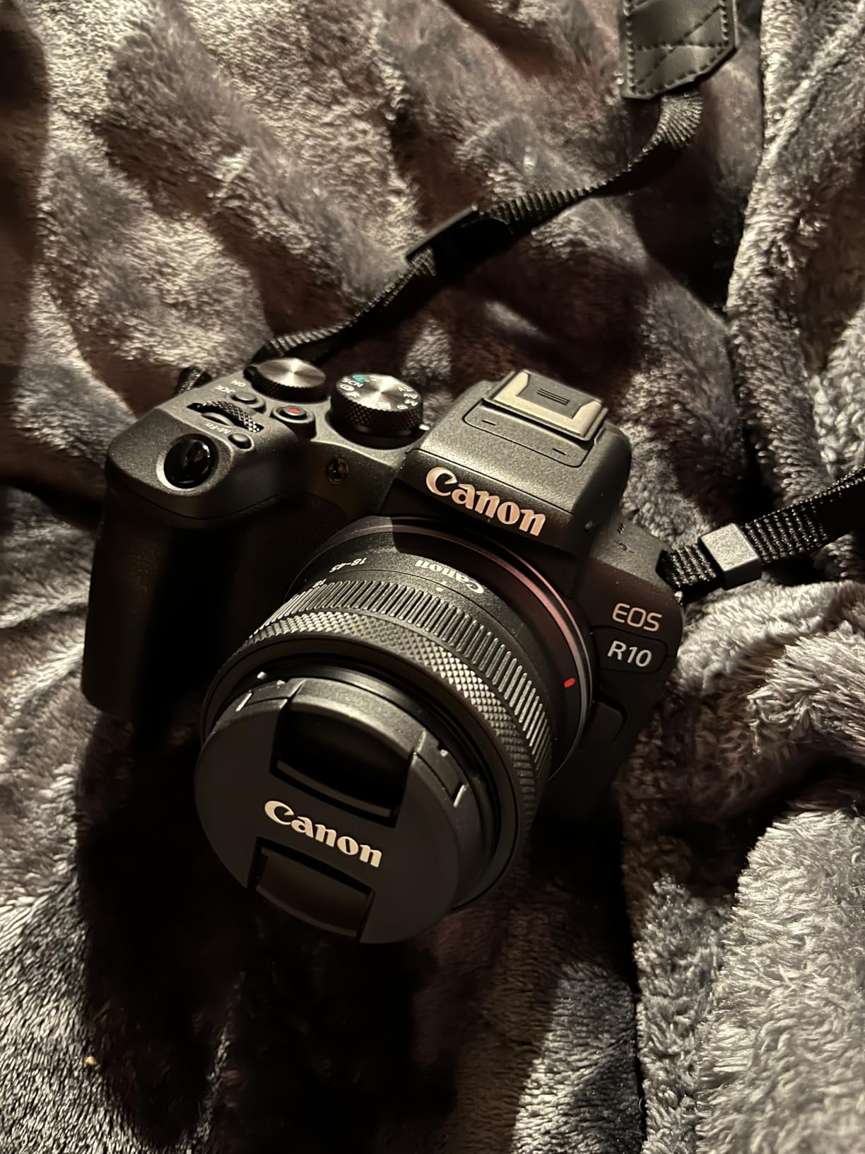 Canon RF-S18-45mm F4.5-6.3 Lens customer photo 2