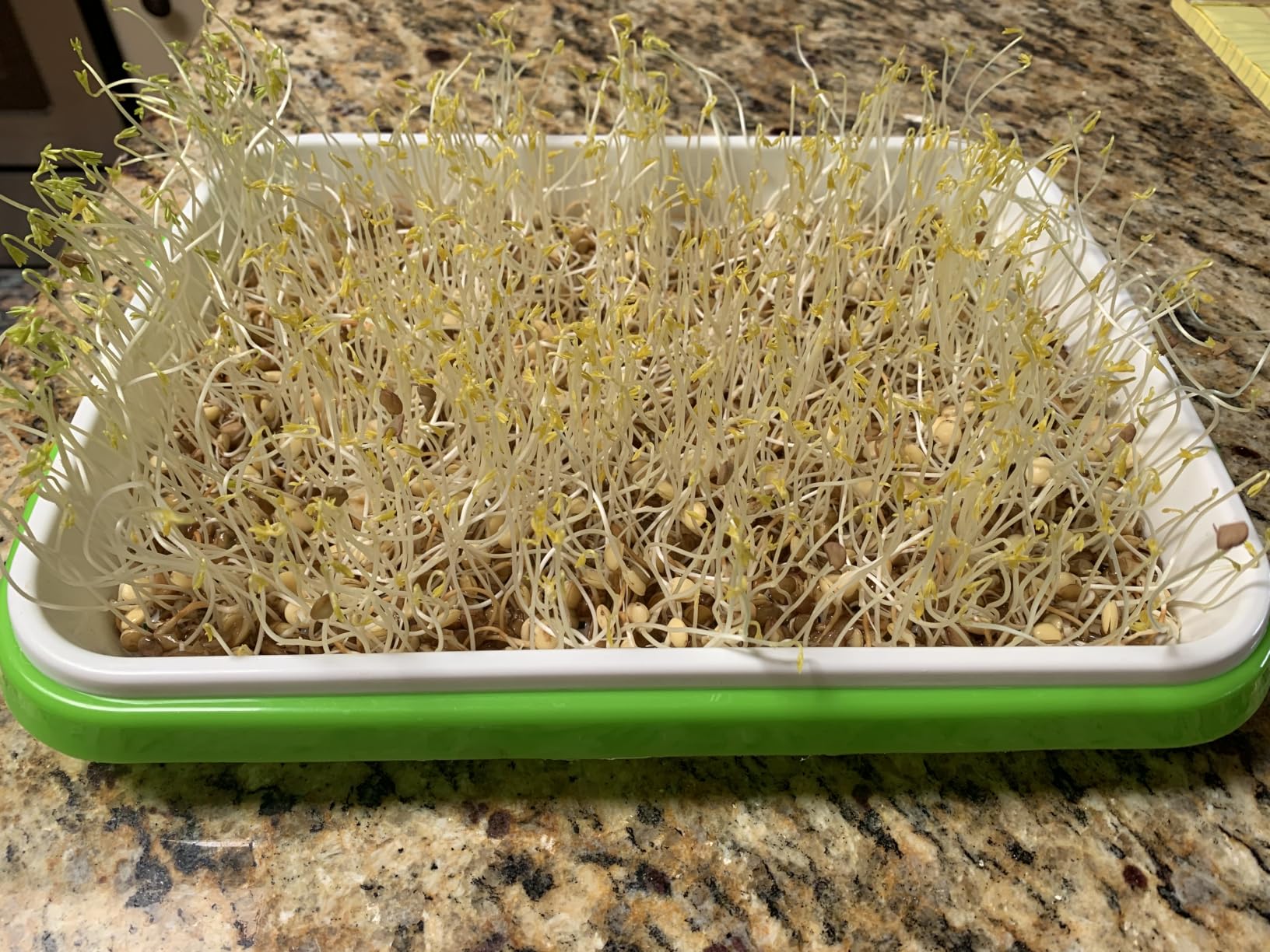 Legigo 10 Pack Seed Sprouter Trays, Microgreens Growing Trays Kit customer photo 2