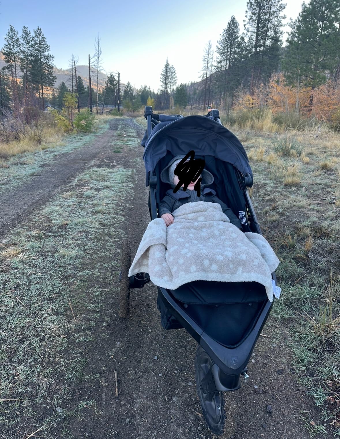 BOB Gear Wayfinder Jogging Stroller — Storm customer photo 2