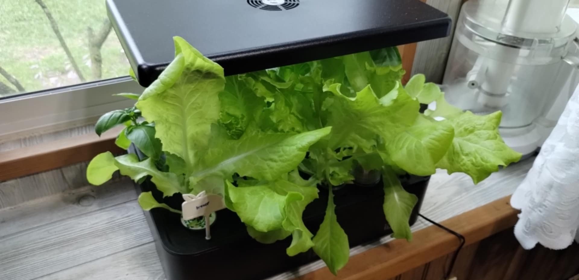 iDOO Indoor Garden Hydroponics Growing System for Growing Plants & Lettuce customer photo 1