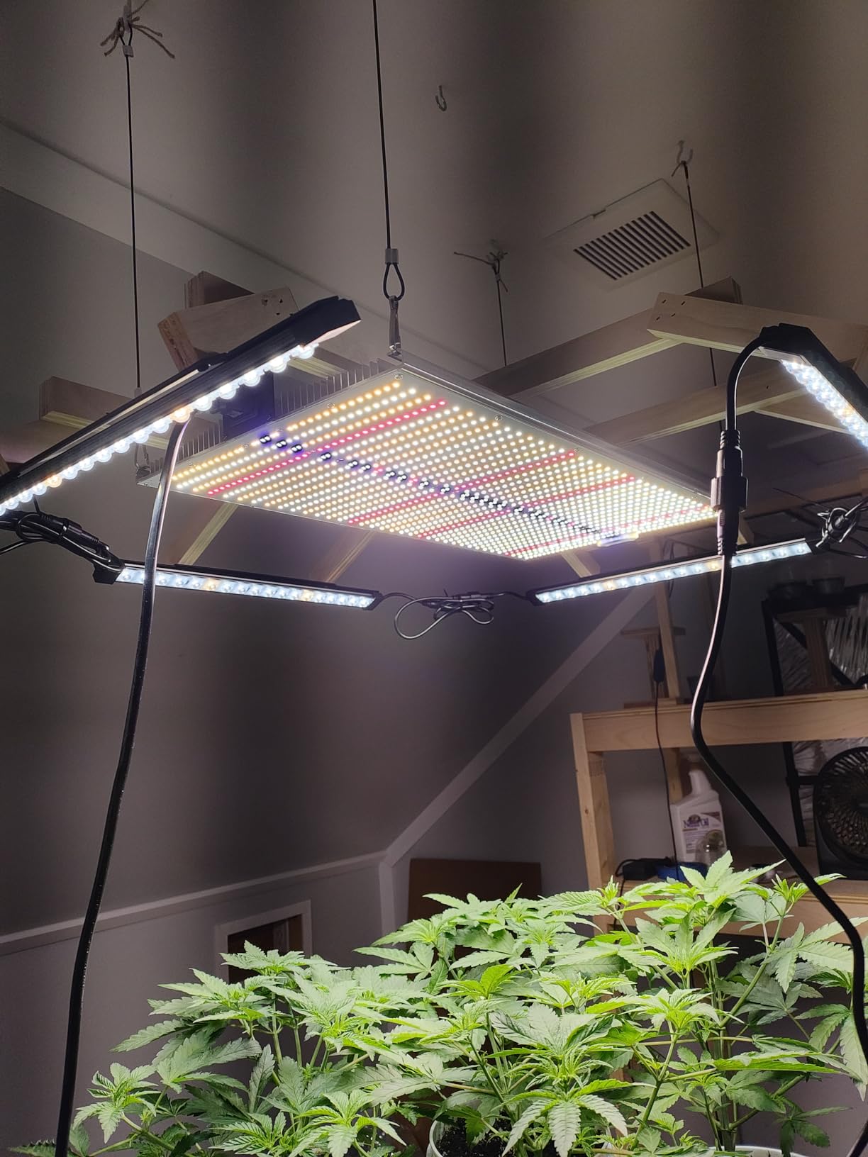 AC Infinity IONBEAM S16, Full Spectrum LED Grow Light Bars 16” customer photo 1