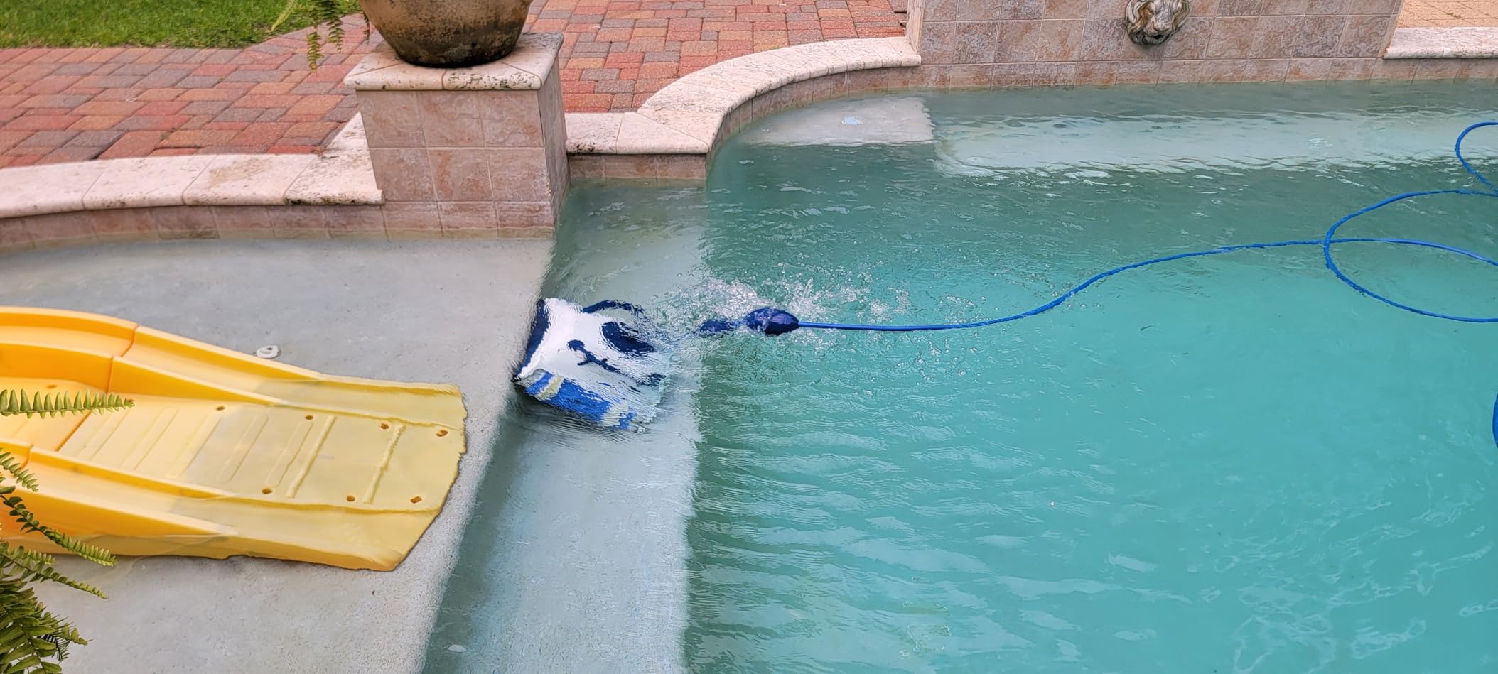 Dolphin Nautilus Pool-Up Robotic Pool Vacuum Cleaner up to 26 FT - Wall Climbing with Scrubber Brush customer photo 1