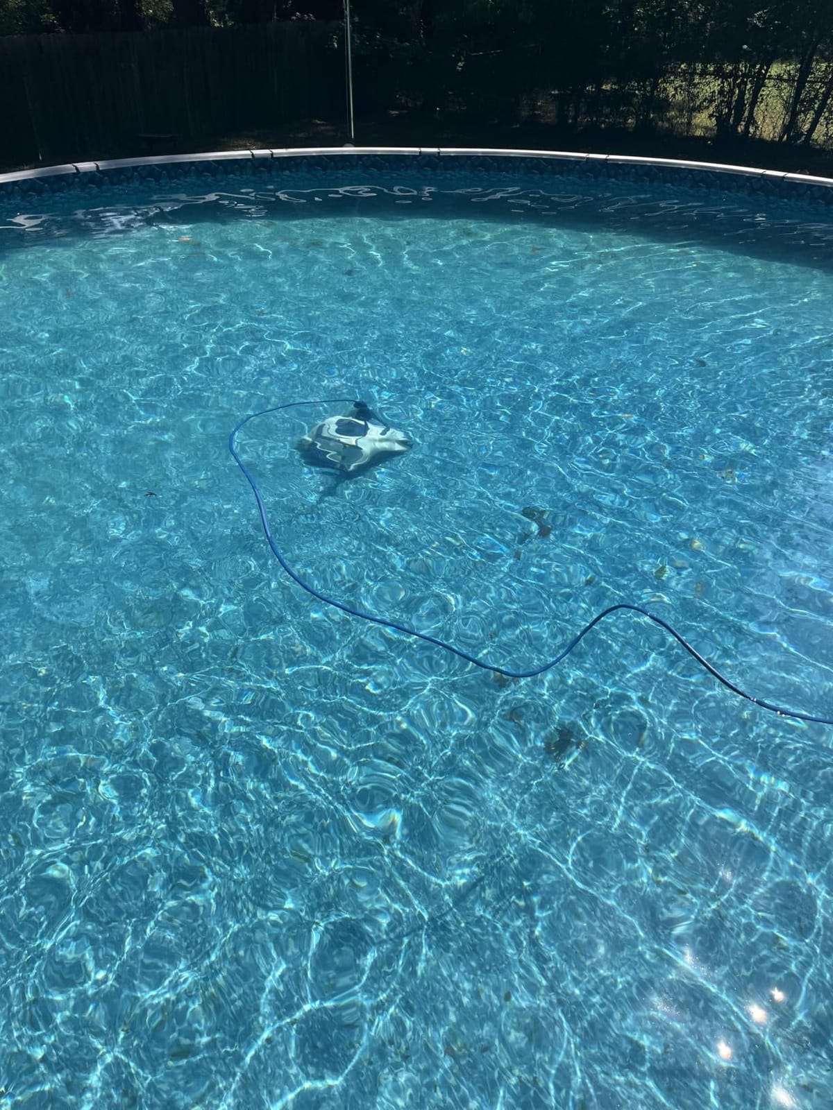Dolphin Nautilus Pool-Up Robotic Pool Vacuum Cleaner up to 26 FT - Wall Climbing with Scrubber Brush customer photo 2
