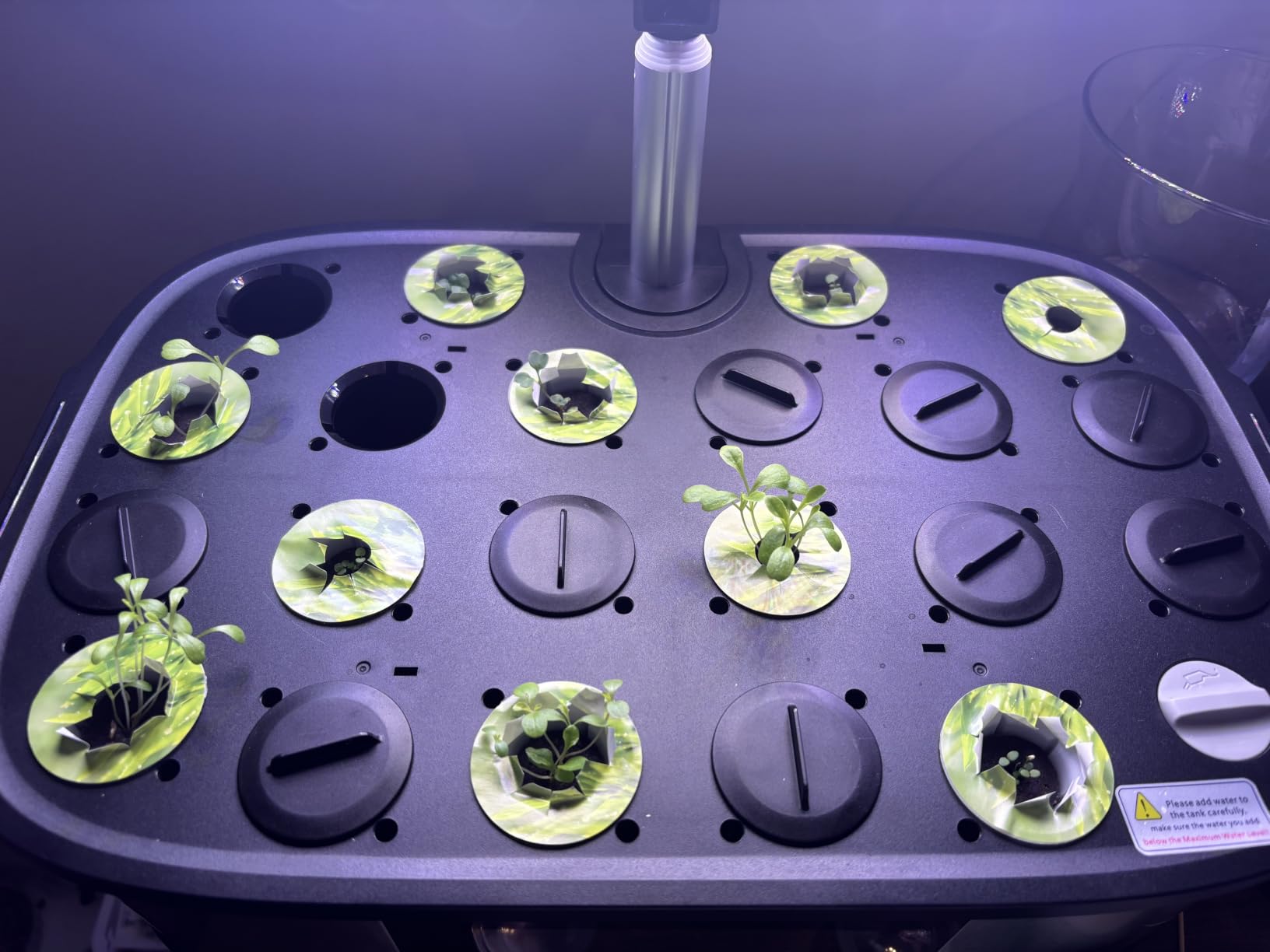 LetPot LPH-Max Hydroponics Growing System Kit, 21 Pods APP & WiFi Automatic Controlled Smart Indoor Garden with 36W LED Grow Light, Auto Drip Irrigation Kits, Self-Managed Nurturing & Watering customer photo 1