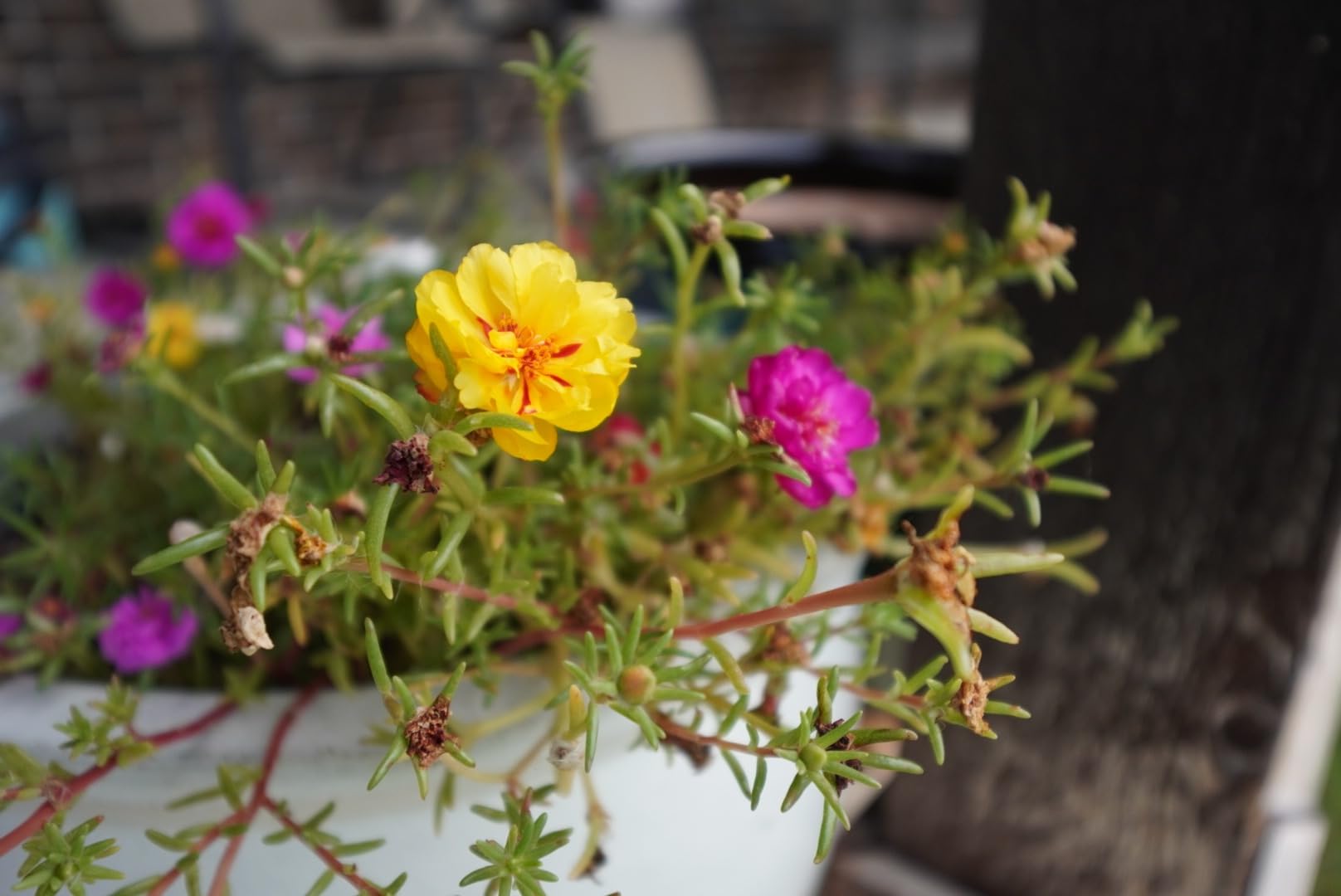 10-18mm F2.8 DC DN (for E Mount) customer photo 1