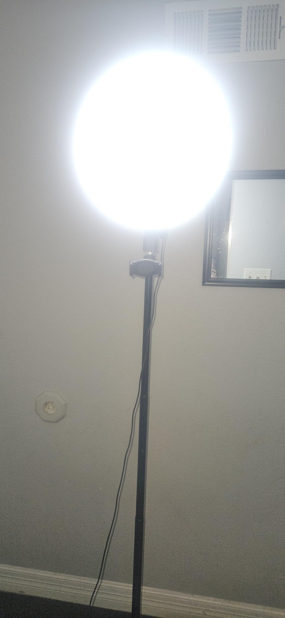 TODI Large Ring Light with 79