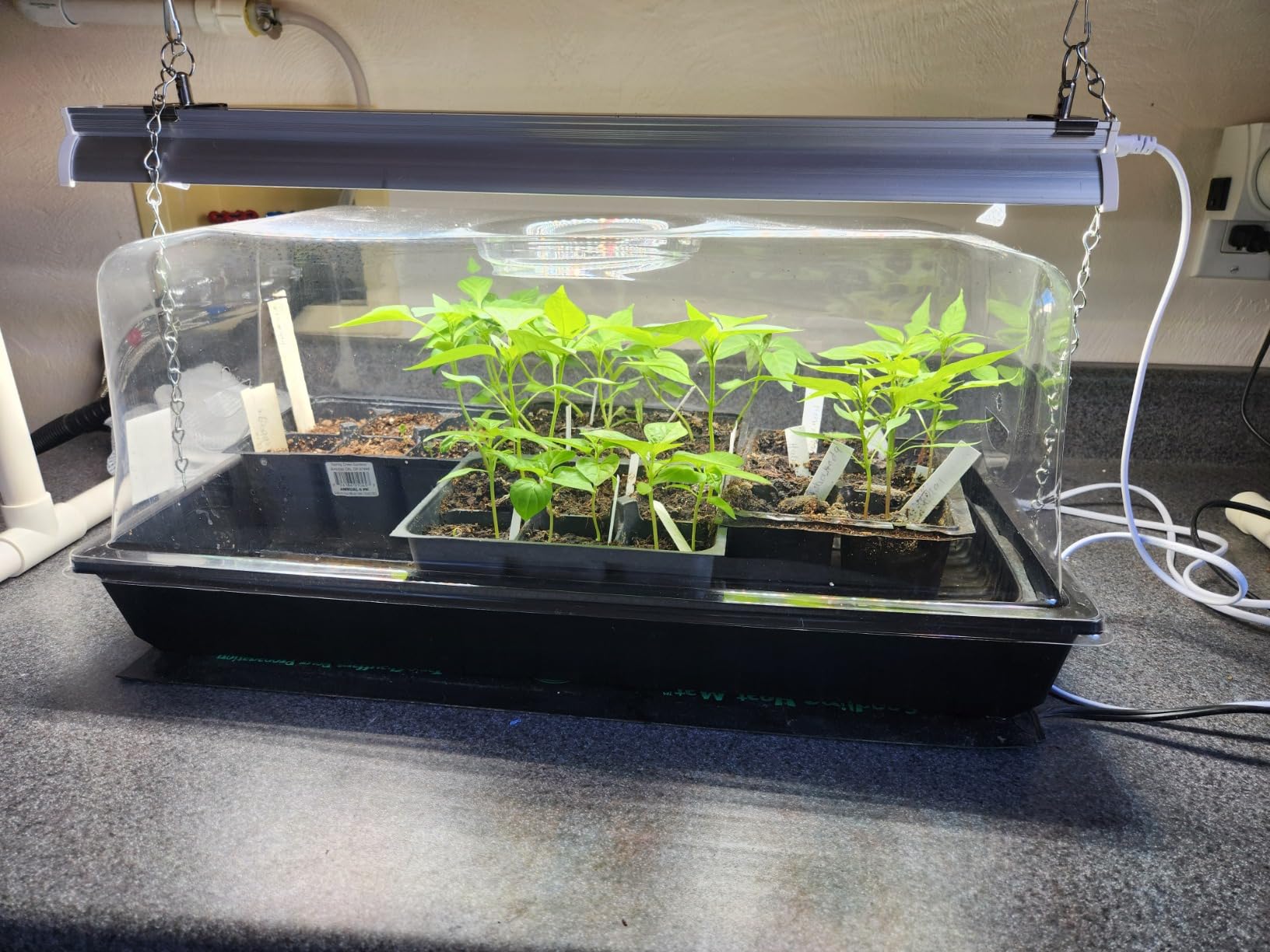 Wolezek 2FT T5 Grow Lights for Seed Starting, 32W Full Spectrum customer photo 1