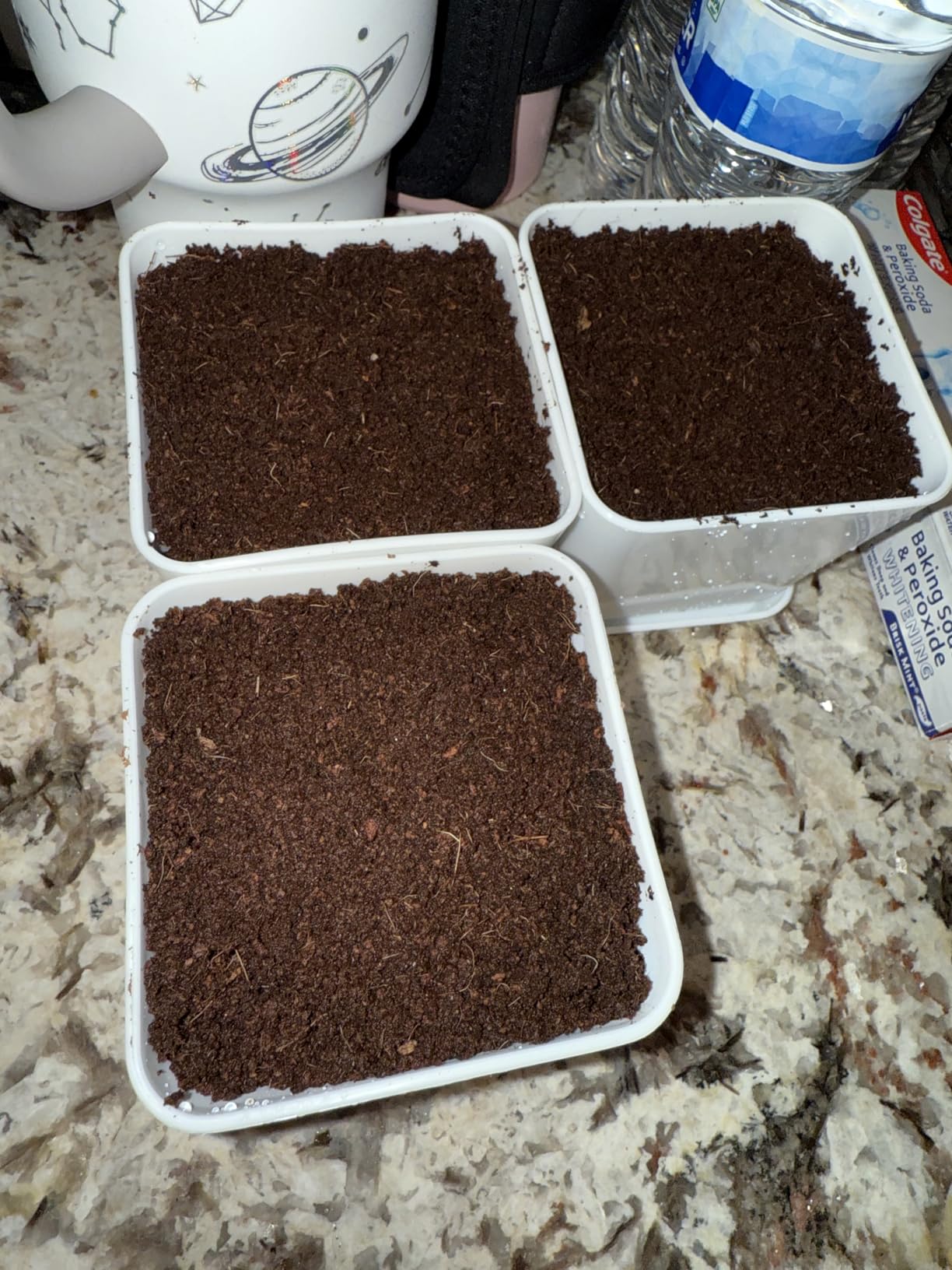 Indoor Herb Garden Kit – 10 Non-GMO Herb Seeds with Soil, Pots & Moisture Meter – Easy Windowsill Gardening Starter Set – Unique Gift for Gardeners, Home Chefs & Families customer photo 2