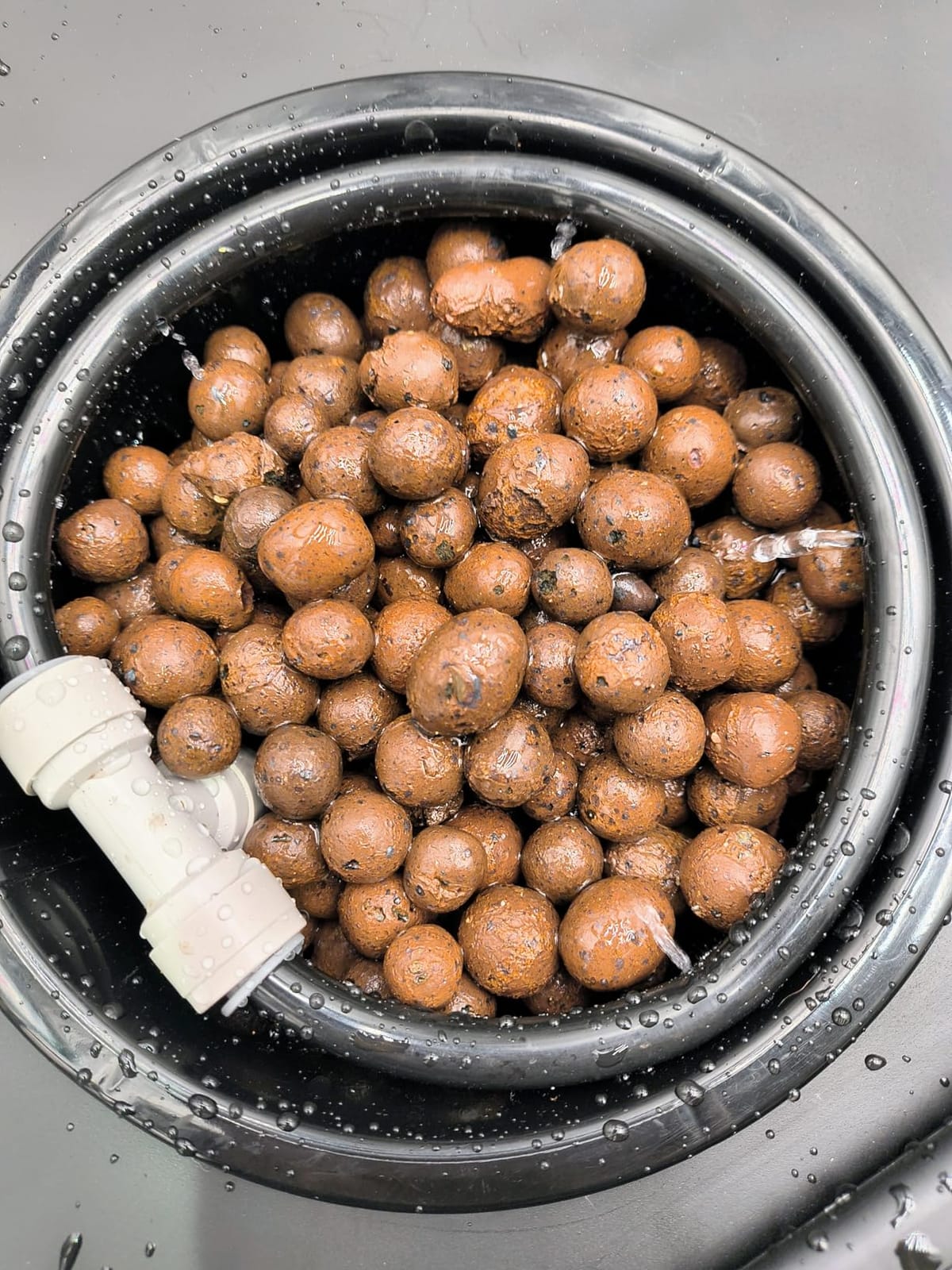 Spider Farmer DWC Hydroponics Growing System Kit 2 Buckets for Indoor Plant customer photo 2