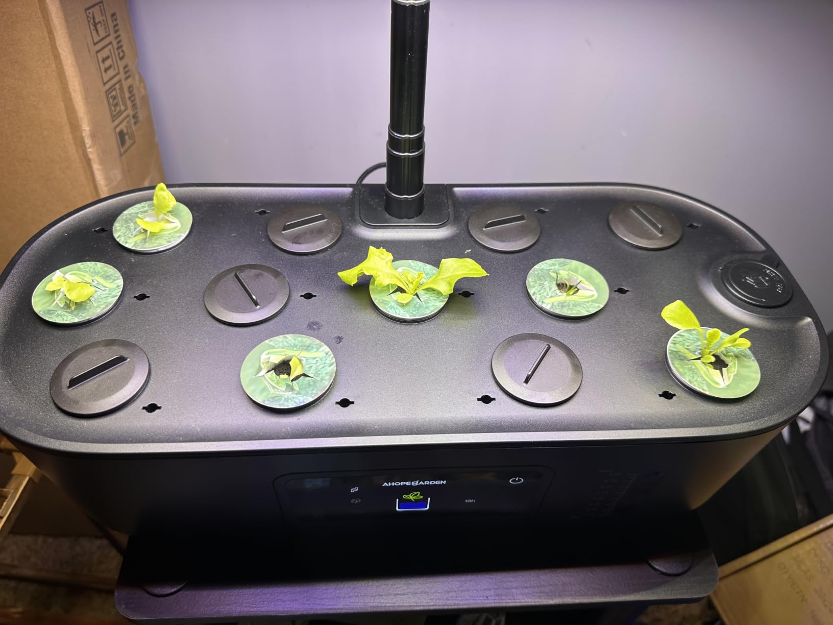 Ahopegarden Hydroponics Growing System Kit: 12 Pods with LCD Control Panel customer photo 1