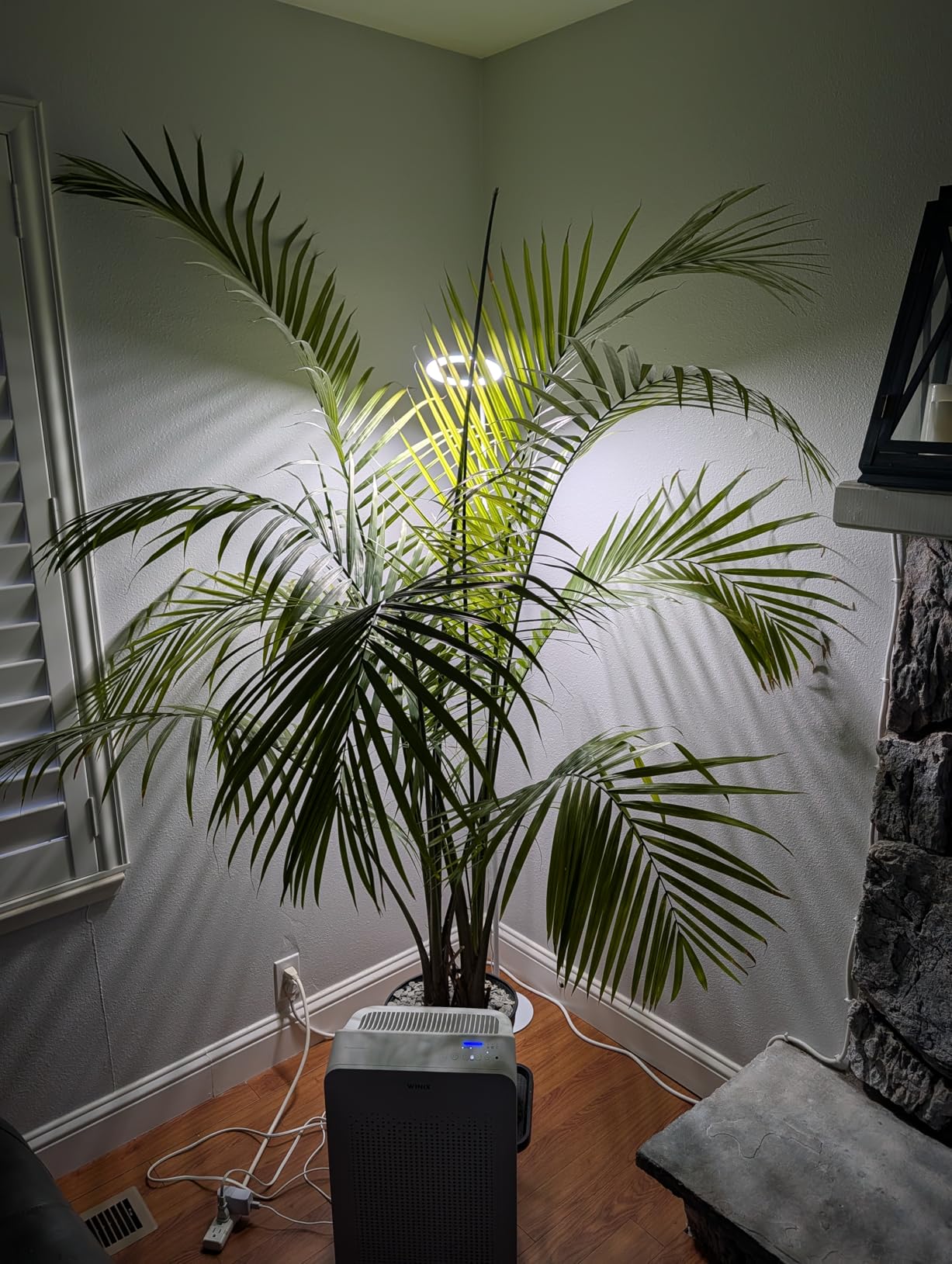 Aumtrly Black Grow Lights for Indoor Plants, Full Spectrum, with 68