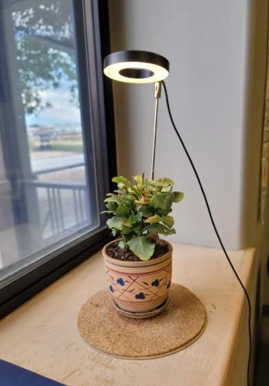 Grow Lights for Indoor Plants Small Potted - Full Spectrum, Auto 3/9/12H Timer, 10-Level Dimming & Adjustable Height - Compact Grow Light for Succulents, Herbs, Foliage in Home/Office (White,1PACK) customer photo 1