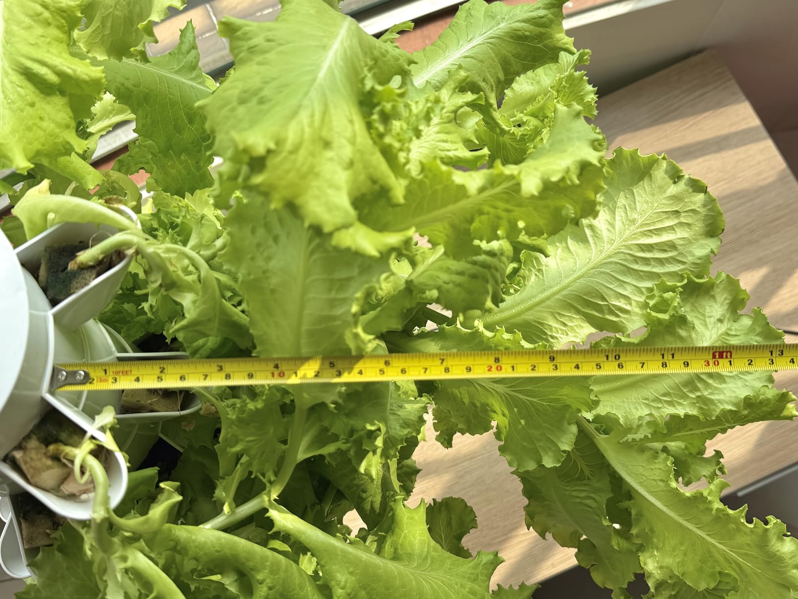 Hydroponics Growing System, 30-Plant Indoor Hydroponic Tower with Timer and Pump System, Plants Germination Kit, Vertical Hydroponic System for Gardening Lover (No Seed) customer photo 2