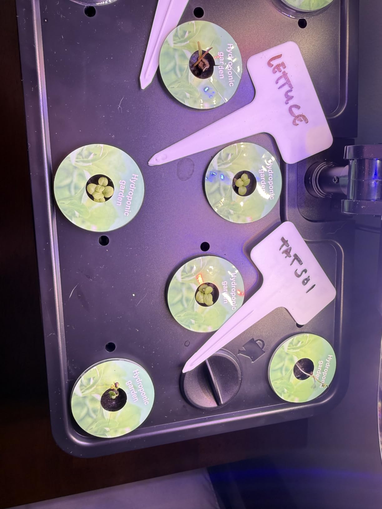 URUQ 8 Pods Hydroponics Growing System with LED Grow Light - Black customer photo 2