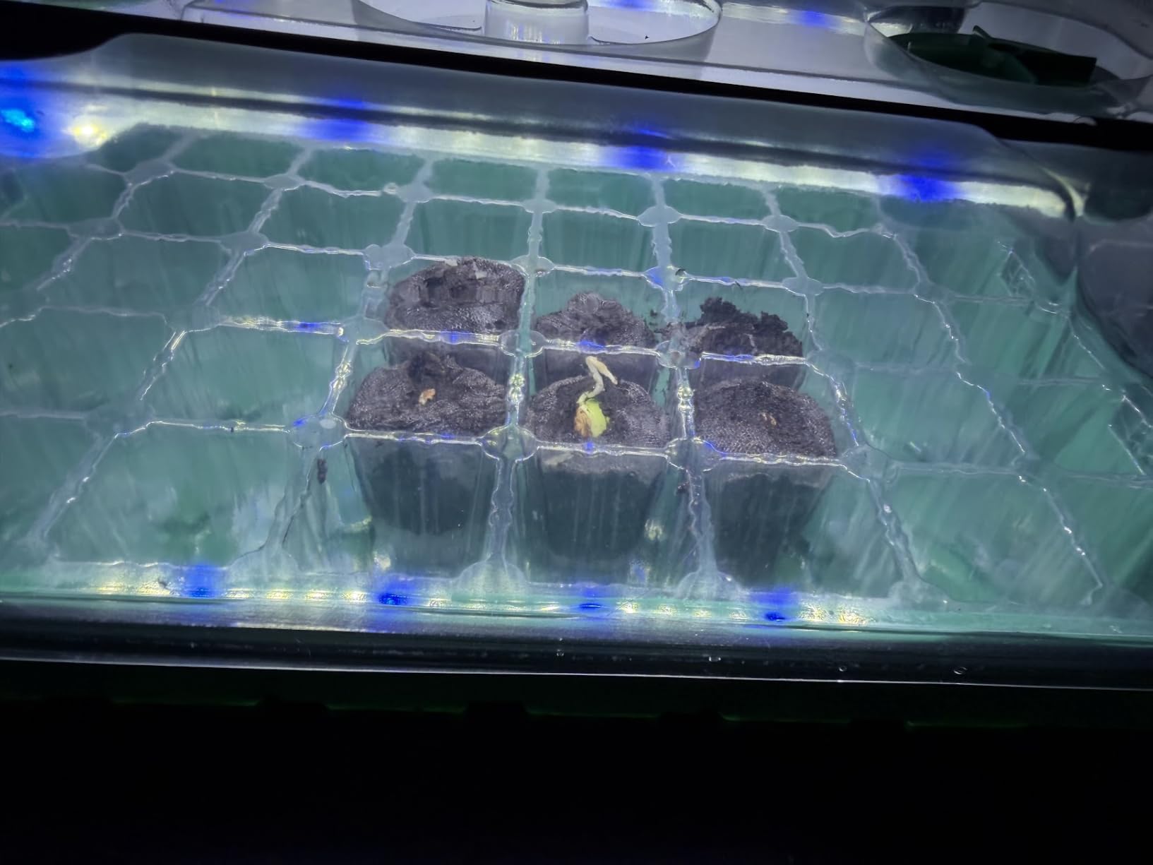 Sondiko Seed Starter Tray with Grow Light, Heated Seed Starter Kit customer photo 1