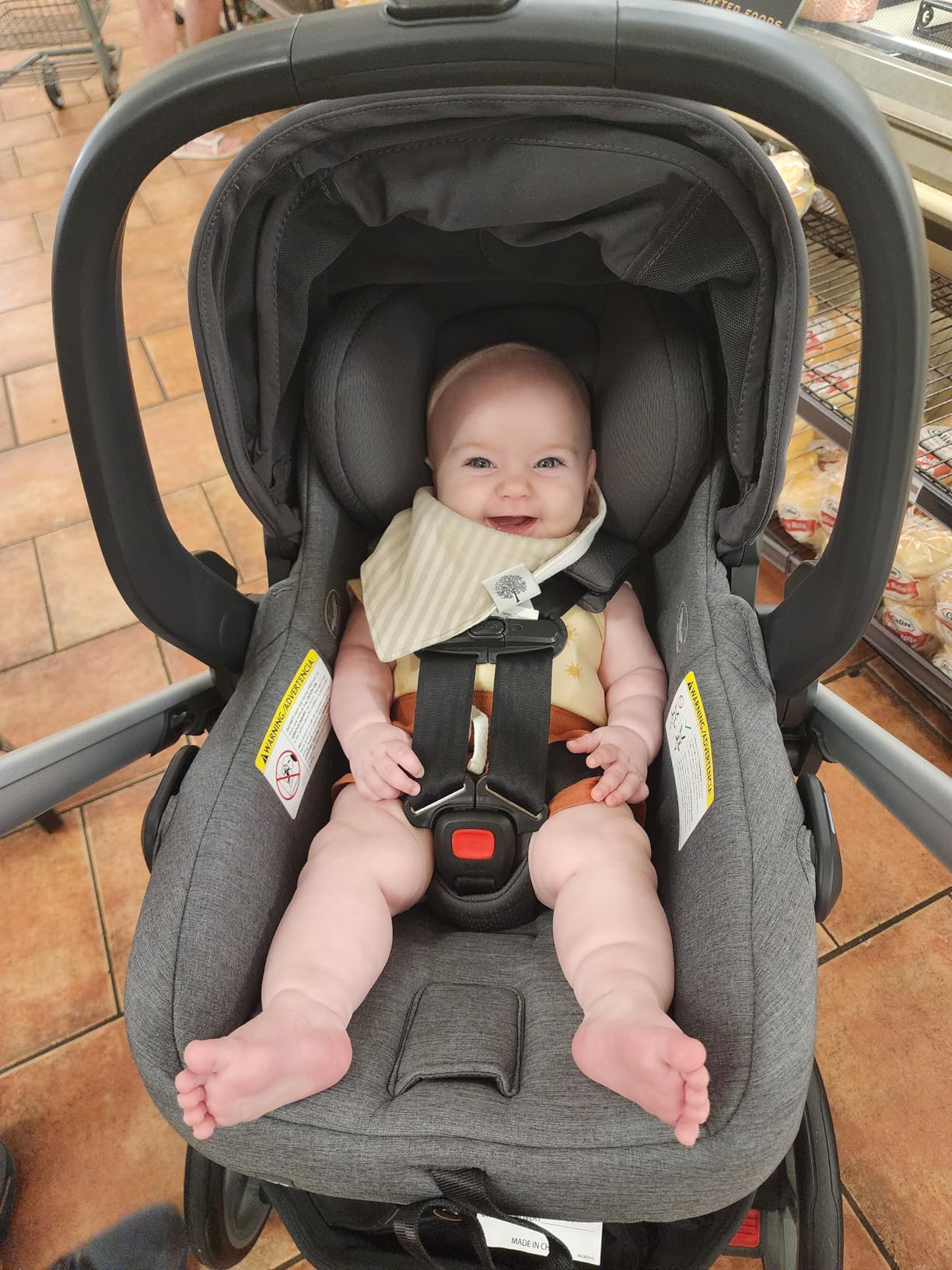 UPPAbaby Mesa V3 Infant Car Seat with Base, Insert & SmartSecure - Ada customer photo 2