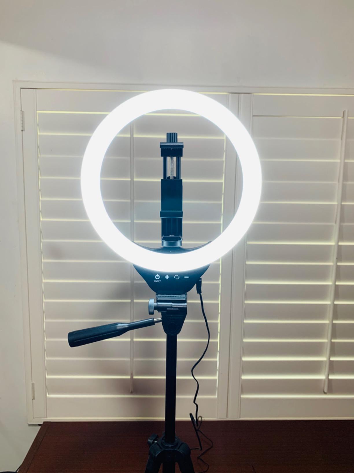 Torjim 12 Inch Video Light Kit for Creators | 30W High Brightness customer photo 2