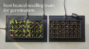 best heated seedling mats for germination