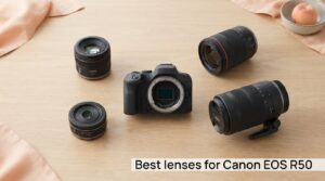 Best lenses for Canon EOS R50